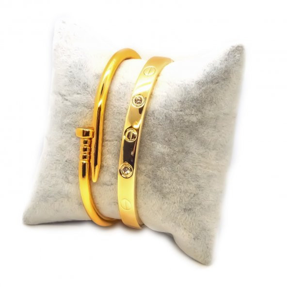 Altın Renk Çivi Ve Taşlı Cartier Bileklik Set 943