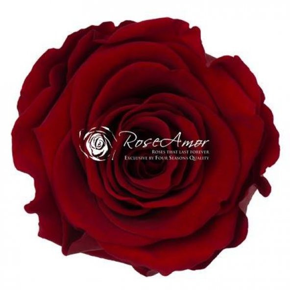 Rosa Şoklu Ll-Xl Size Red-01 Adet