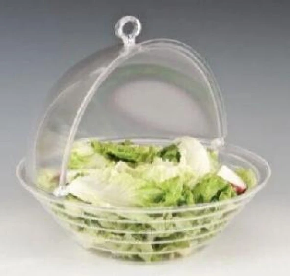 Salata Kabı