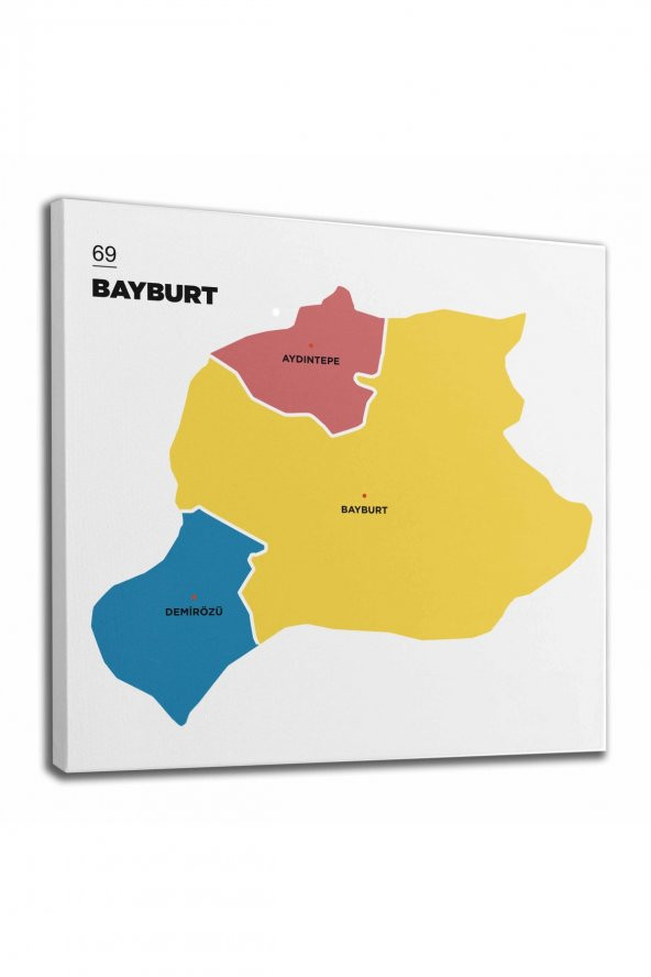 Bayburt İli ve İlçeler Haritası Dekoratif Kanvas Tablo 1289