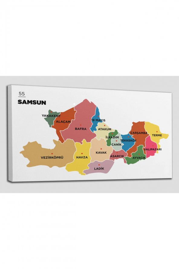Samsun İli ve İlçeler Haritası Dekoratif Kanvas Tablo 1446