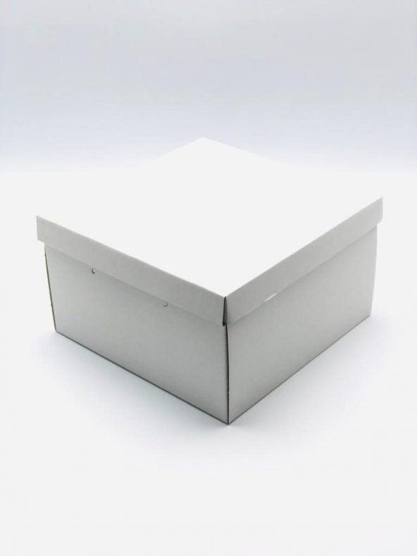 26x26x15 Çok Amaçlı Kutu Karton Kutu Pasta Kutusu (10 Adet)
