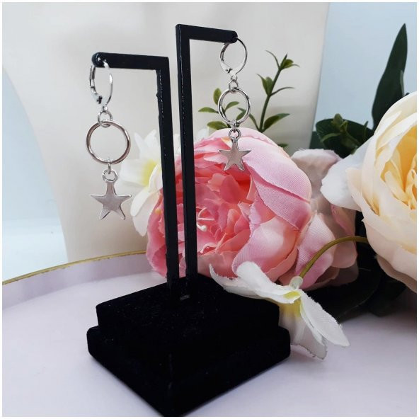 Gümüş Renk Kadın Yıldız Küpe