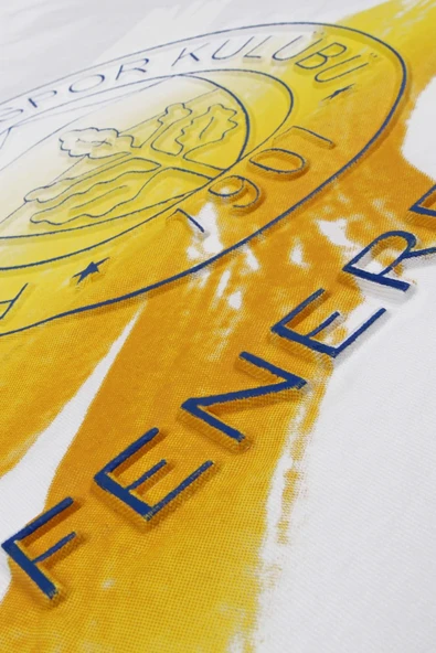 Fenerbahçe Kadın Tribün Fırça Logolu T-Shirt - 3