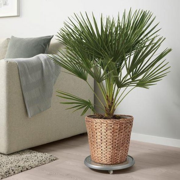 Su Sümbülü Saksı 24 Cm MeridyenDukkan El Örmesi-Dekoratif Yer Saksısı IKEA Natürel - 2