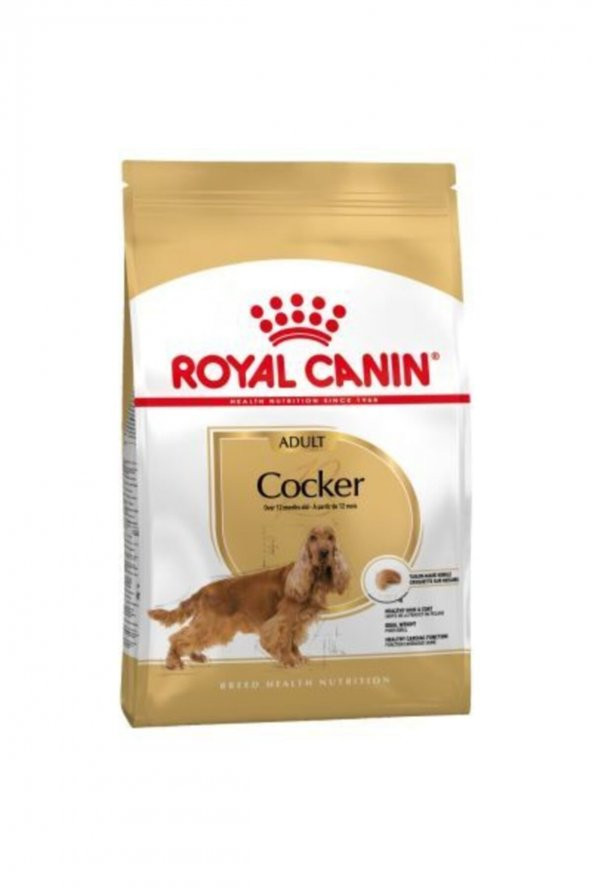 Royal Canin Cocker Irka Özel Yetişkin Köpek Maması 3 kg