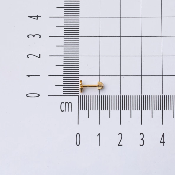 14 Ayar Altın Balık Tragus Küpe - 5