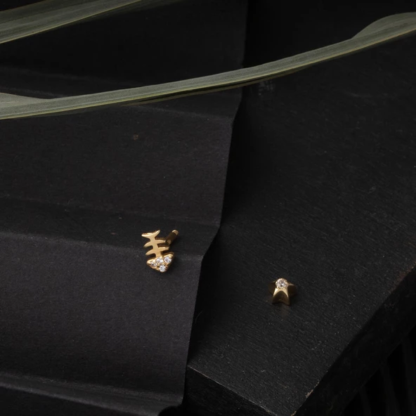 14 Ayar Altın Balık Tragus Küpe - 4