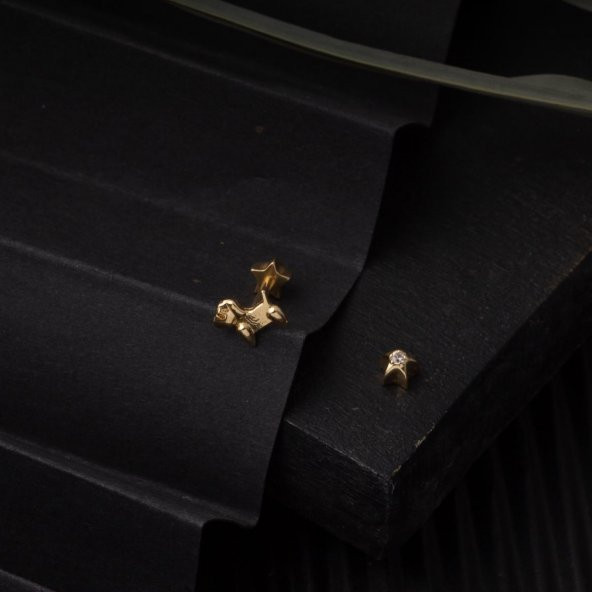 14 Ayar Altın Tragus Piercing Küpe - 4