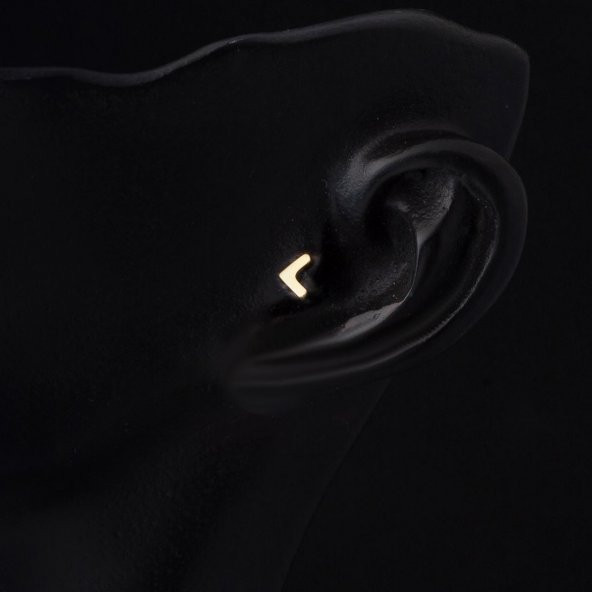 14 Ayar Altın Tragus Piercing Küpe - 2