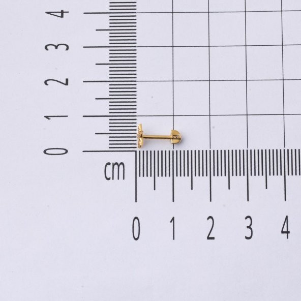 14 Ayar Altın Yıldız Tragus Küpe - 5