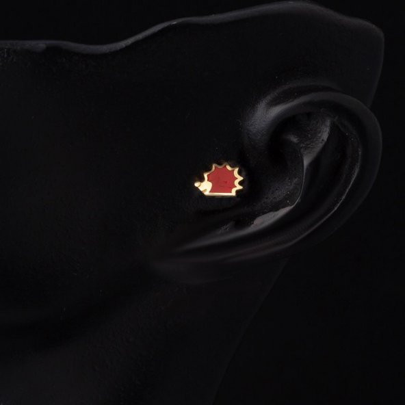 14 Ayar Altın Kırmızı Tragus Küpe - 2