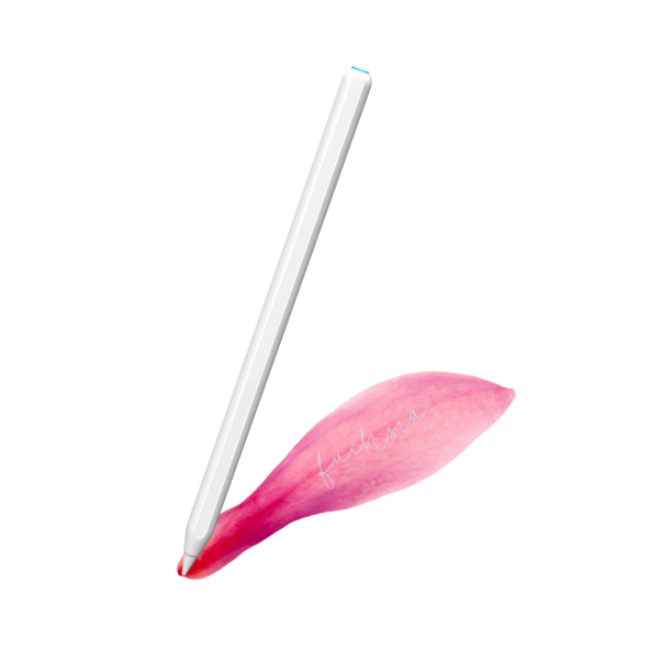 iPad Kablosuz Şarj Olan Eğim Duyarlı Avuç İçi Özellikli Kalem