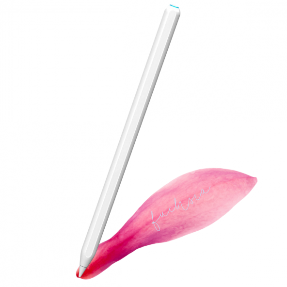 iPad Magnetik Şarj Olan Eğim Duyarlı Avuç İçi Özellikli Kalem
