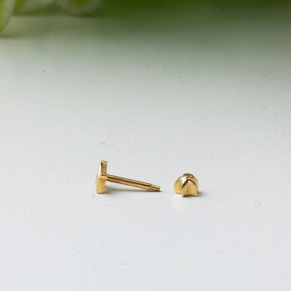 14 Ayar Altın Kalp Ritmi Tragus Küpe - 3