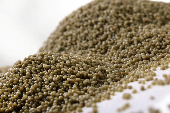 Gemlik Diamonyum Fosfat (DAP) 50 Kg. Fosfor ve Azot Gübresi - 2