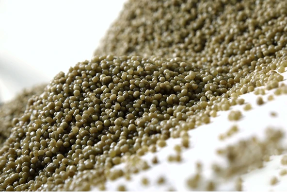 Gemlik Diamonyum Fosfat (DAP) 50 Kg. Fosfor ve Azot Gübresi - 3