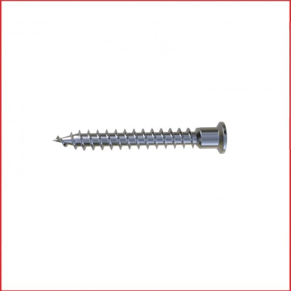 Metal Galvaniz Kabin vidası (yıldız başlı sivri) 06,3x50mm 100 Adet Kargo bedava - 1