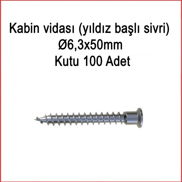 Metal Galvaniz Kabin vidası (yıldız başlı sivri) 06,3x50mm 100 Adet Kargo bedava - 3