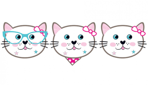 Benim Marifetlerim Miss Cat Maske 6 Adet