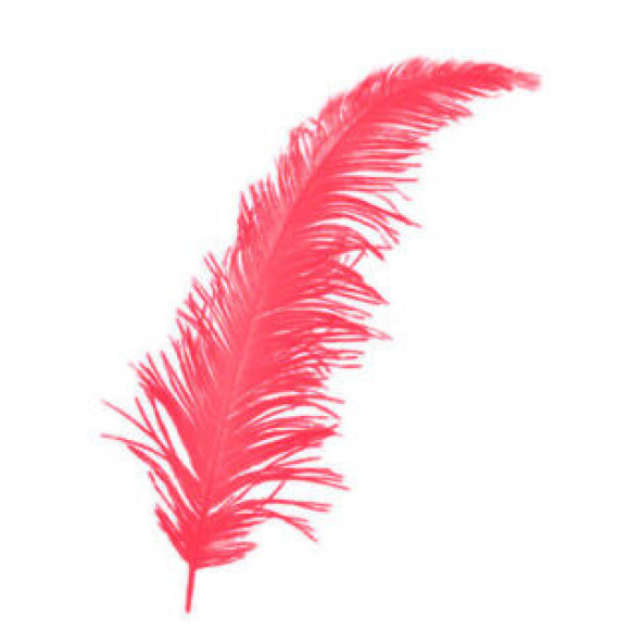 Benim Marifetlerim Doğal Kırmızı Tüy 100 Adet ürün görseli