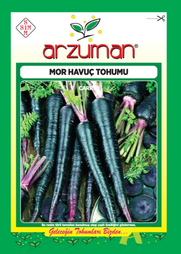 Mor Havuç Tohumu (10 gr) Arzuman