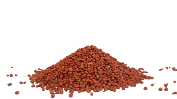 Ispanak Tohumu İthal (Matador Çeşidi) 250 Gr ürün görseli