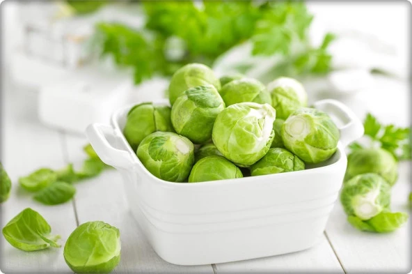 Brüksel Lahanası Tohumu (200 Adet) - 2