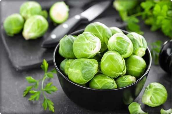 Brüksel Lahanası Tohumu (200 Adet) - 4