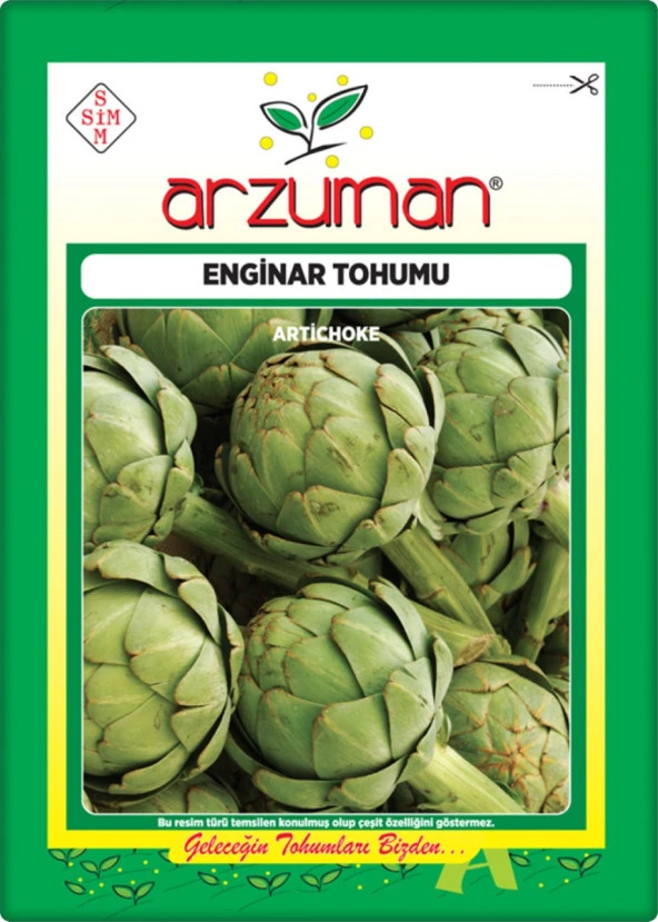 Enginar Tohumu (20 Adet)