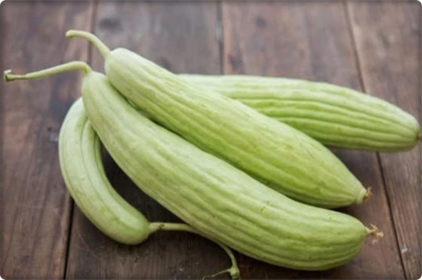 Acur Tohumu (10 Gr) Beyaz-Uzun Tip - Resim 2