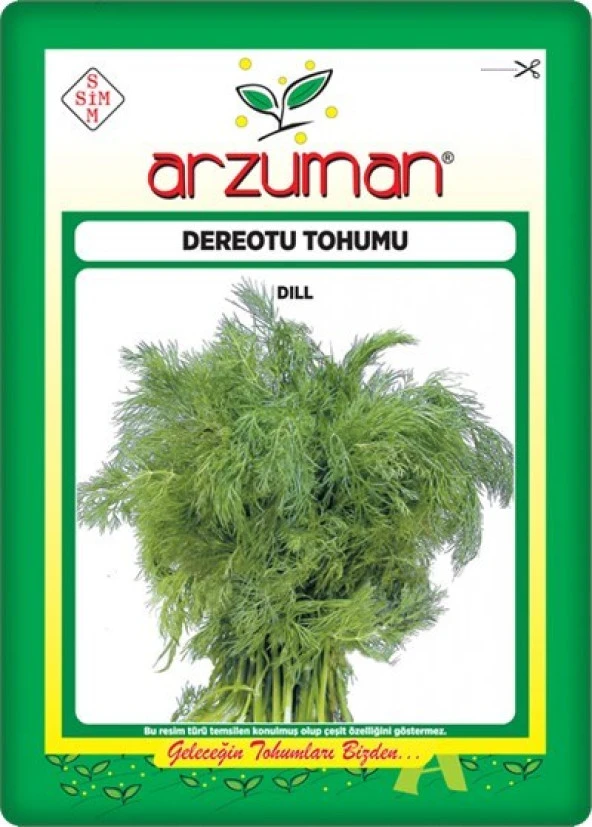 Arzuman Dereotu Tohumu (10 Gr)