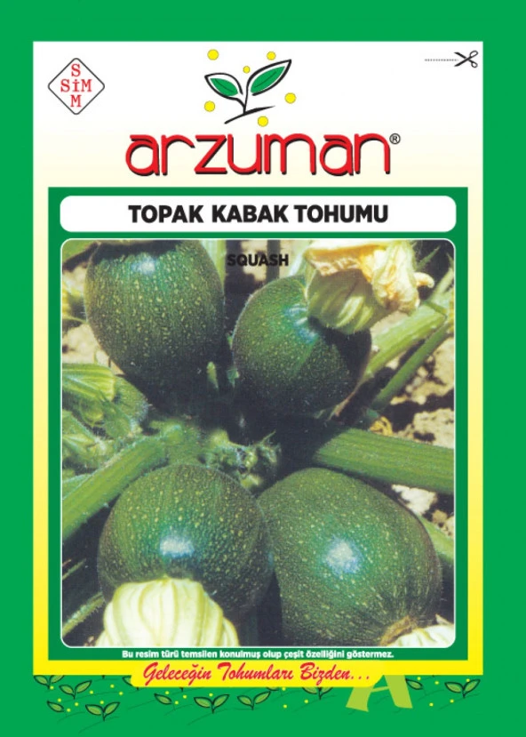 Topak Kabak Tohumu (10 Gr) Siyah Renk