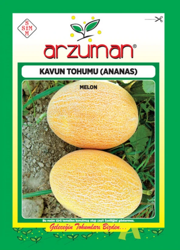Organik Kavun Tohumu Ananas Tipi (10 Gr) ürün görseli