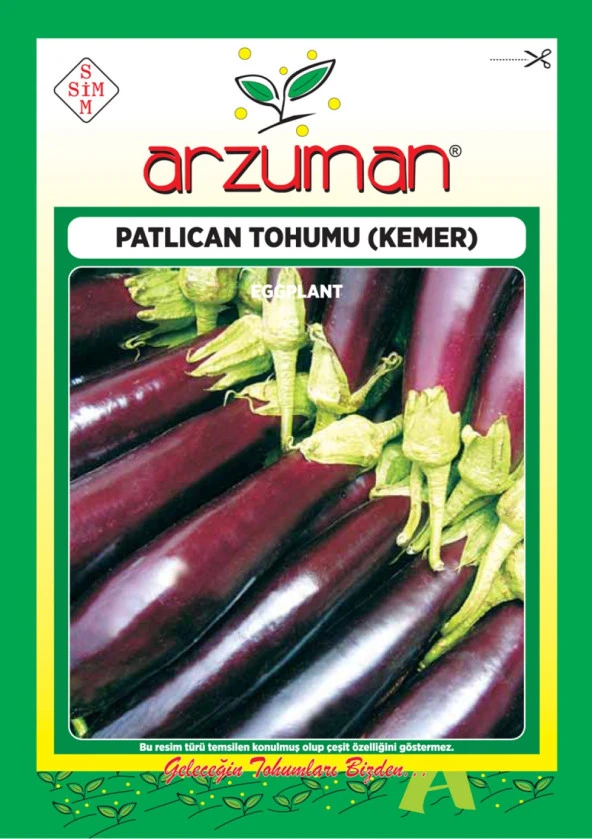 Patlıcan Tohumu (10 Gr) Kemer-27