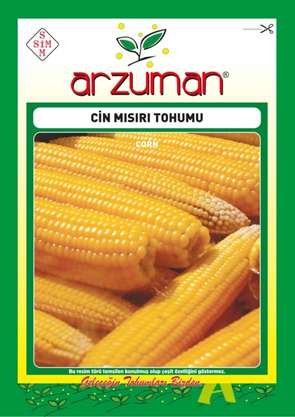 Cin Mısır Tohumu (25 Gr) Patlatmalık Popcorn Mısır