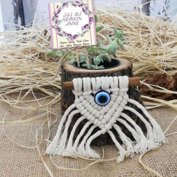 İyi ki Doğdun Anne Naturel Saksıda Sukulent