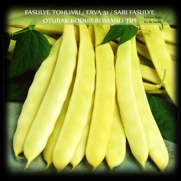 Fasülye Tohumu 250 Gr (650+ Adet) Erva 51 Sarı Özel Fasulye Tohum