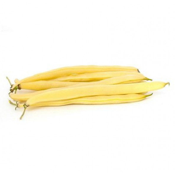 Fasülye Tohumu 250 Gr (650+ Adet) Erva 51 Sarı Özel Fasulye Tohum - 2