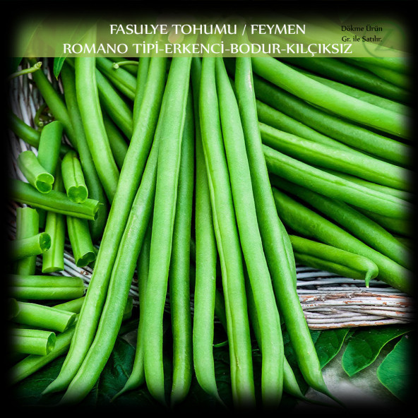Özel Feymen Fasülye Tohumu 250 Gr (650+ Adet) Kılçıksız Erkenci Bodur Fasulye Tohumu