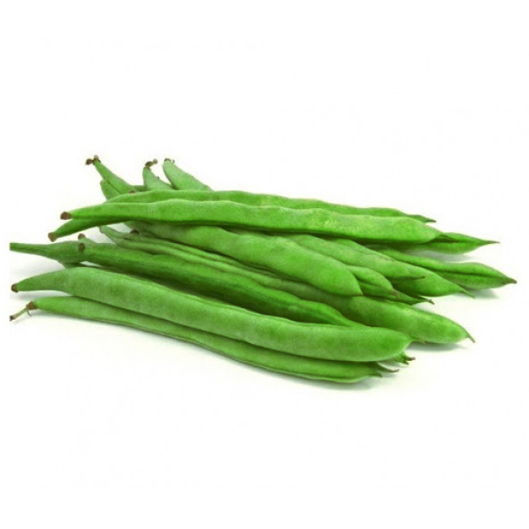 Cino Oturak Fasülye Tohumu 1 Kg. (2500+ Adet) Sıla Gina Fasulye Tohumu - Resim 2