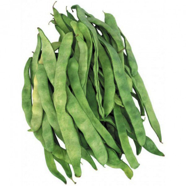 Ayşe Kadın Fasülye Tohumu 1 Kg (2500+ Adet) Alman Ayşe Fasulye Tohumu Sırık Fasulye Tohumu - 2