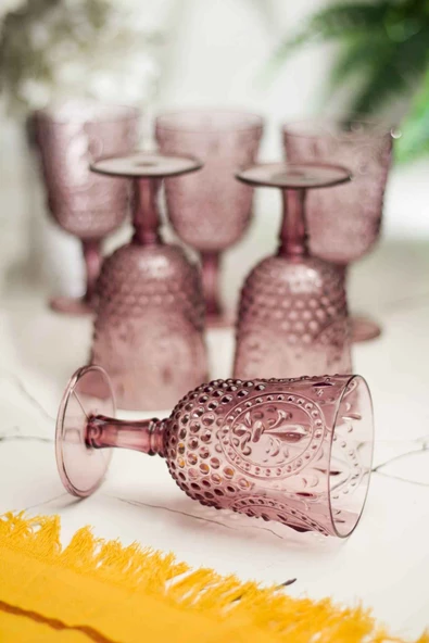 Akrilik Mürdüm Tekli Kadeh & Su Meşrubat Kahve Yanı Bardağı 450 ml ( Cam Değildir ) - 4