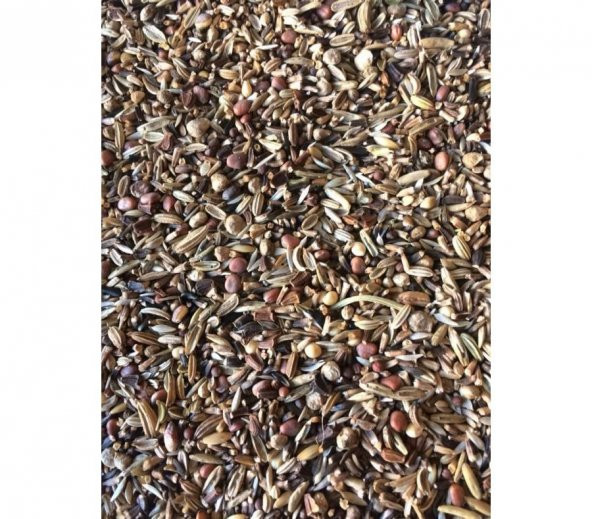 NATURAL King Sağlık Yabani Tohum Yemi 1 Kg - Resim 2