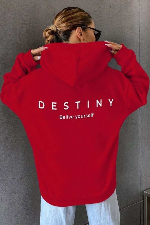 Unisex Destiny Baskılı Kapüşonlu Sweatshirt