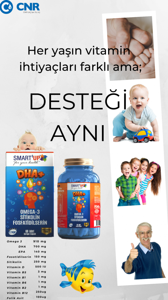 SMART UP Sitikolin Dha Omega 3 ve Fosfatidilserin iceren Balık Yağı B12  ( 60 Kapsül )