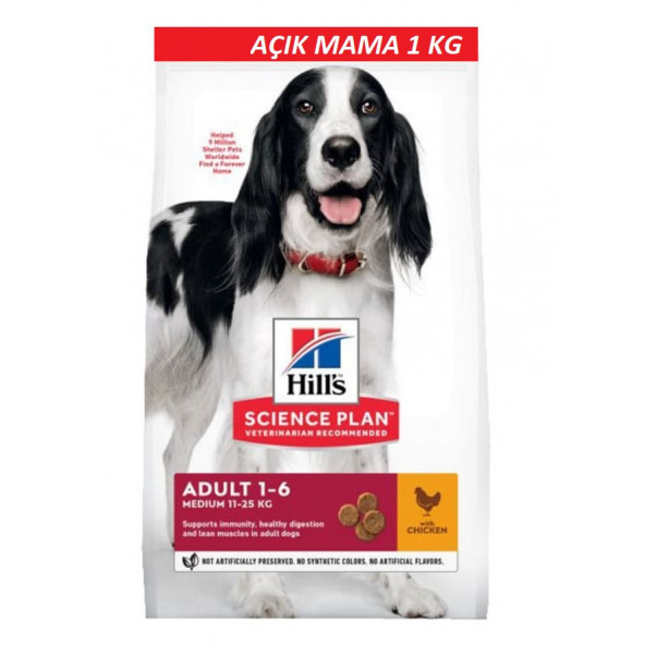 Hill's Science Plan Tavuklu Orta Irk Yetişkin Köpek Maması 1 KG