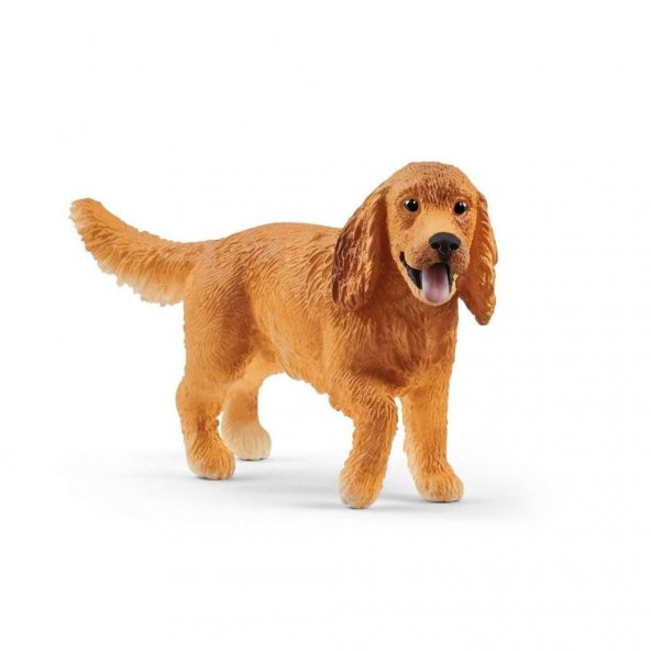 13896 Schleich - İngiliz Cocker Köpek +3 yaş