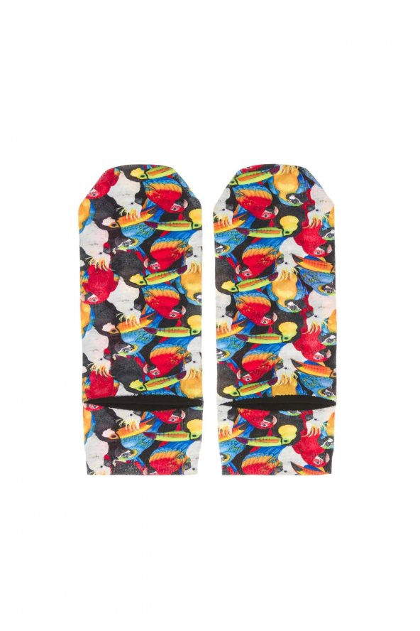 Farm Animals Renkli Papağanlar Desenli Patik Çorap - 2