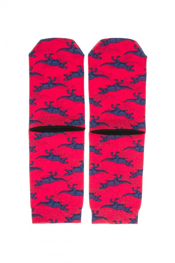 Farm Animals Timsah Desenli Patik Çorap - 2